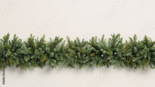 Evergreen Garland Border on Light Background