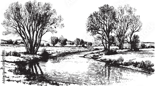 Willow trees beside a river in black and white engraving style. Classic landscape vector illustration with reflections and natural scenery.