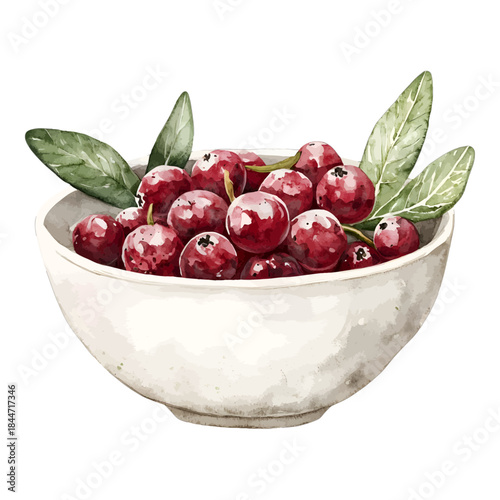 Fresh Cranberries in White Bowl Watercolor Berries
