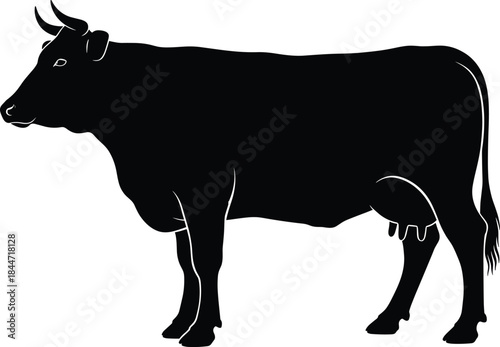 Cow silhouette, farm animal, livestock vector, black figure, female cow, udder visible, isolated, white background, agriculture, rural icon