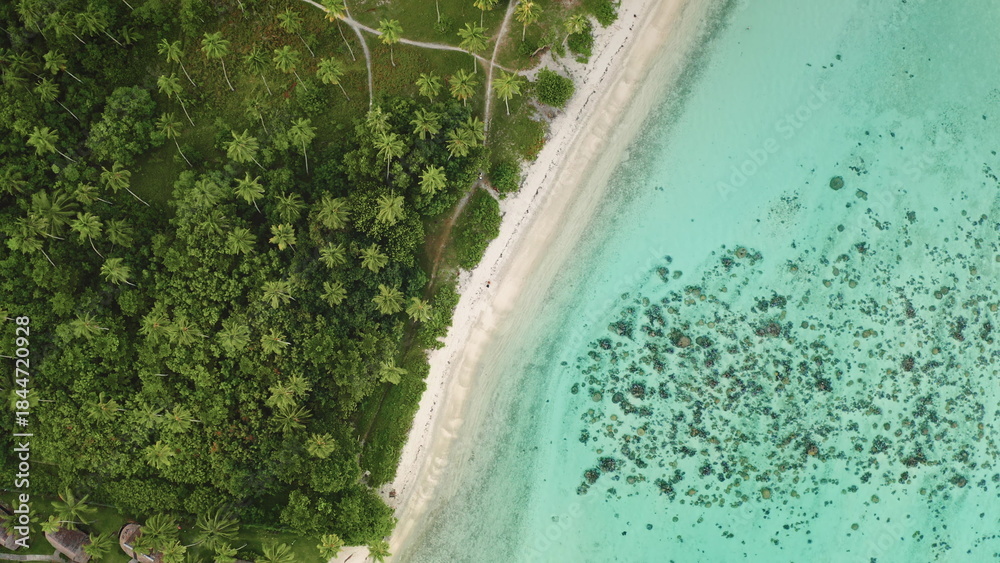 Fototapeta premium Aerial view capturing the vibrant contrast of lush green palm trees and dense jungle meeting a pristine white sand beach, bordering clear turquoise water with visible coral reefs