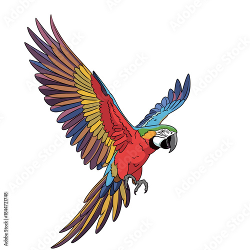 Vivid multicolored macaw in mid flight with outstretched wings showing red blue yellow green feathers and a bold curved beak against a bright white background.