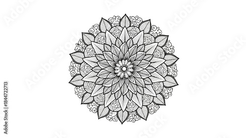 Intricate Mandala Artwork: A captivating, symmetrical design of a mandala, showcasing a myriad of delicate petals and intricate patterns, inviting a sense of peace and contemplation.