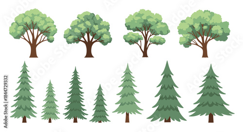 Illustrated collection of deciduous and conifer trees arranged in two rows with varied shapes and sizes in a bright green woodland scene suitable for nature themed designs.