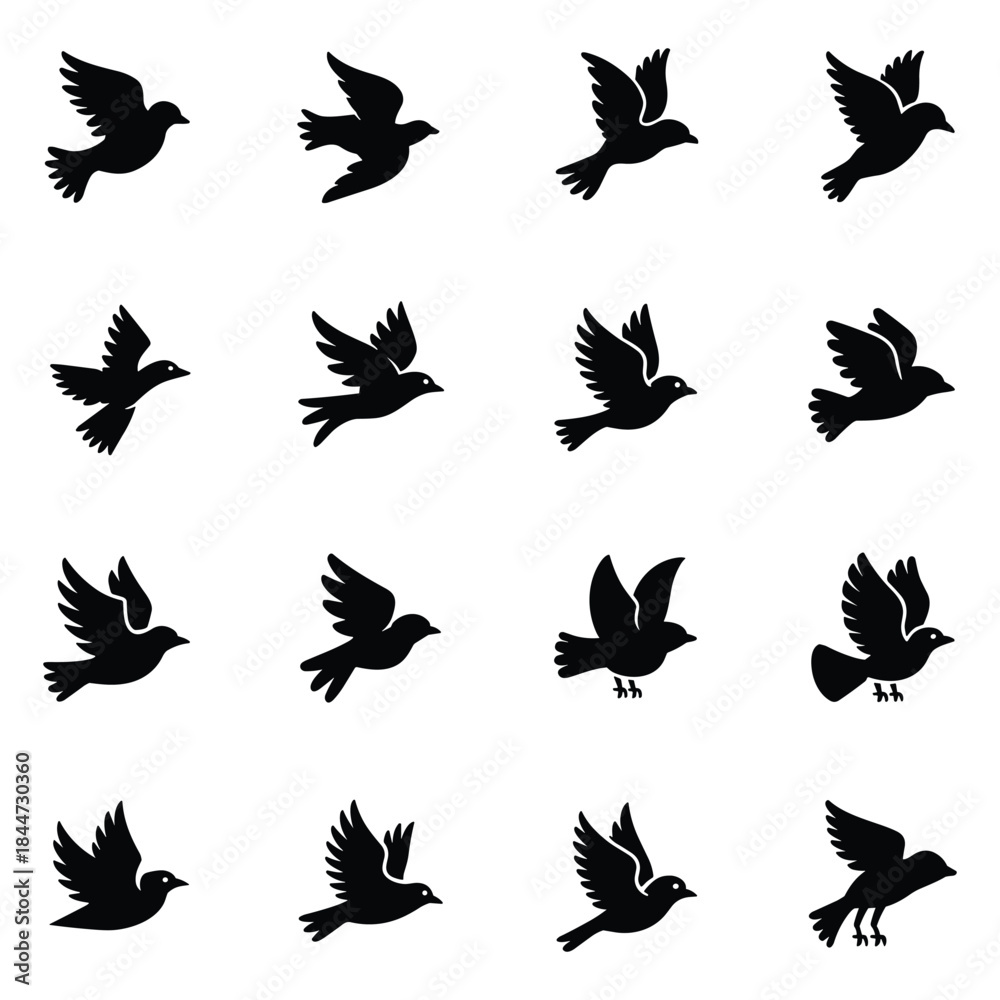 Fototapeta premium Collection of black bird silhouettes in various flying poses wing feather