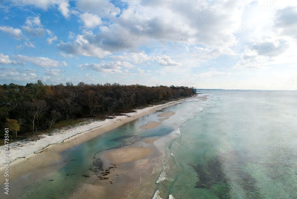 Fototapeta premium Aerial view of a serene sandy beach with clear turquoise water and lush coastal forest
