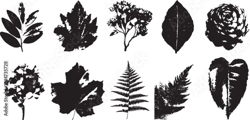 Black leaf silhouettes showcasing various plant forms in a simple style. Botanical elements create an aesthetic vector illustration set.