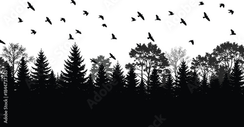 Seamless Forest Skyline with Diverse Coniferous and Deciduous Trees, Flying Birds Silhouette Above, Detailed Vector Illustration Border for Wilderness