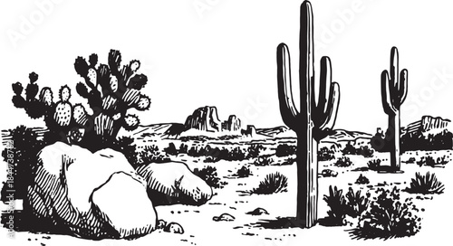 Desert landscape featuring cacti and rocks. Black and white vector illustration depicting an arid environment and scenic wilderness set.