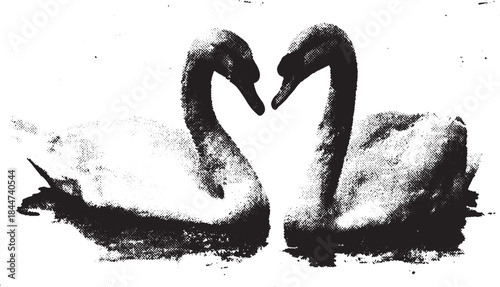 Swans in a graphic silhouette style. Elegant birds illustrate love in this vector illustration set, capturing romance and nature.