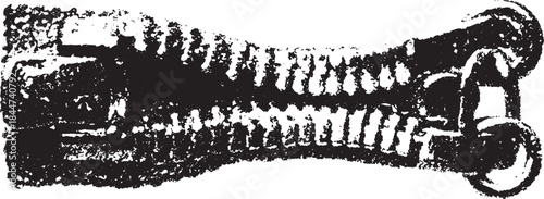 Zipper graphic. Black and white textured vector illustration, depicting a clothing accessory design in a simple and modern style.