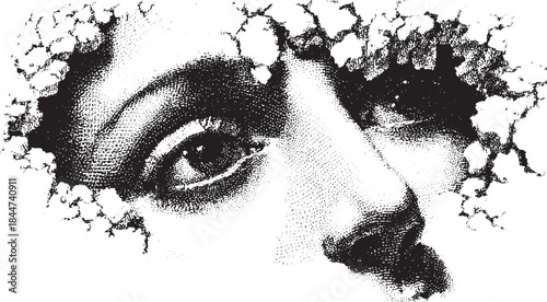 Monochrome portrait of a woman's eye and face. Artistic vector illustration features intricate texture and expressive details in black and white.