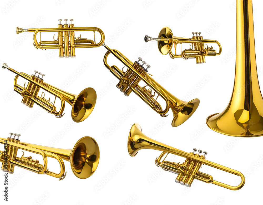 Naklejka premium Golden musical instruments with valves