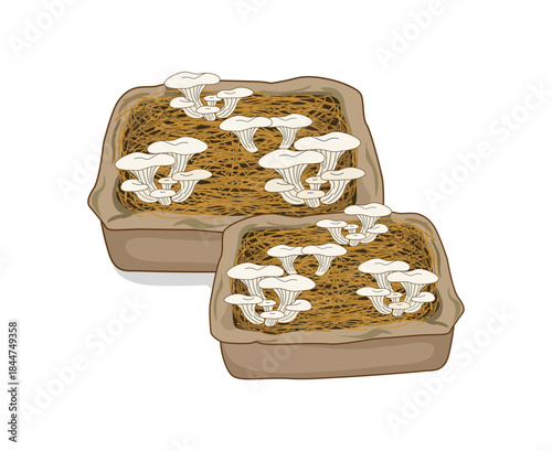 Mushroom Cultivation Using Grow Bags Organic Farming Illustration
