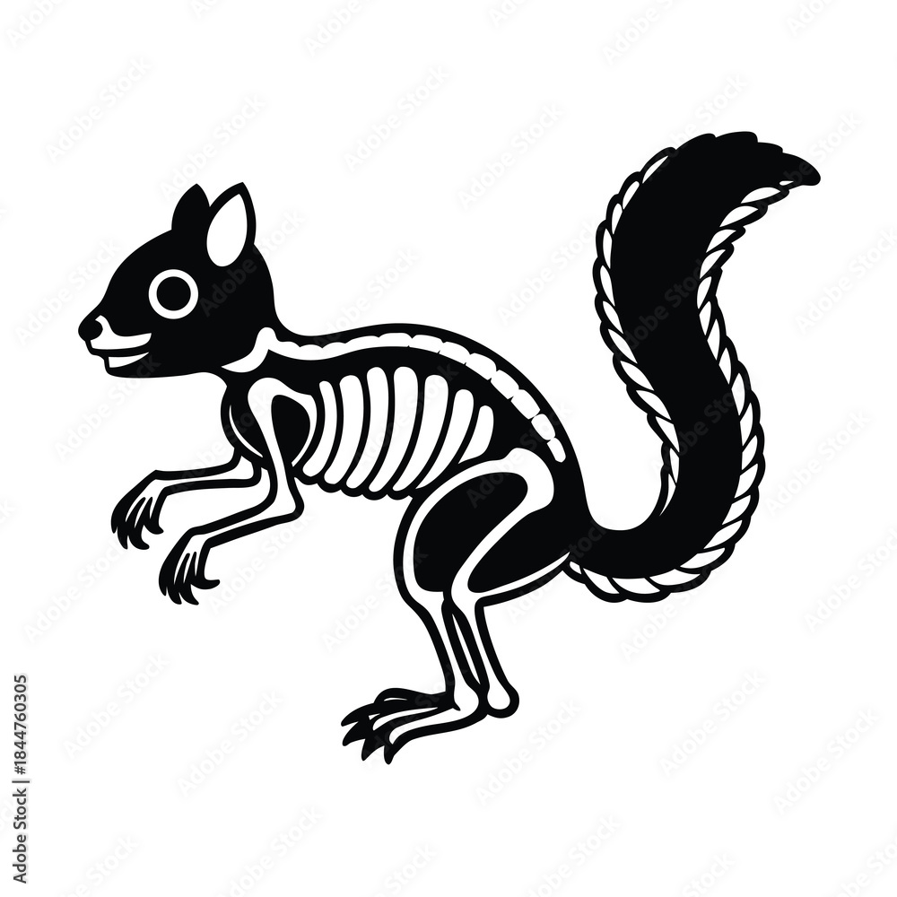 Fototapeta premium squirrel skeleton