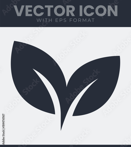 Two plant leaves with smooth, curved edges and pointed tips, arranged in a balanced composition, depicting natural elements found in flora and botanical settings, vector illustration