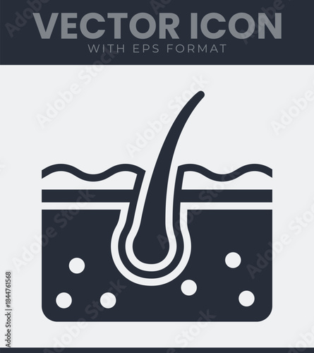 Hair follicle structure embedded in skin layers, depicted as a simple anatomical icon for dermatology, biology and cosmetic science concepts, vector illustration