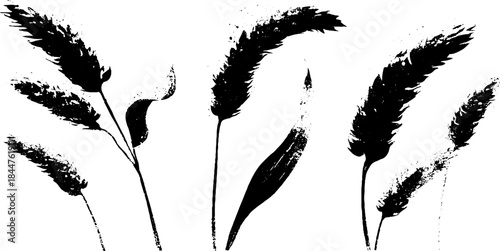 Black and white stencil illustration of dried curved grasses for nature and botanical design