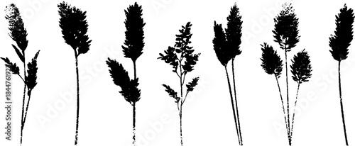 Black and white dried grass blades stencil silhouette illustration for nature design