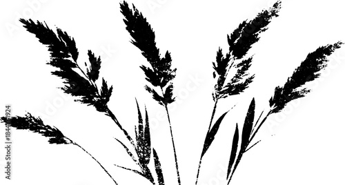 Black and white stencil illustration of dried grass blades for nature-inspired designs