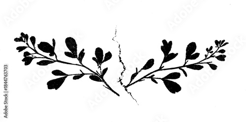 Black and white symmetrical floral stencil illustration for artistic design