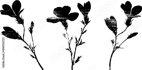 Black and white stencil illustration of spring floral corners for creative design projects