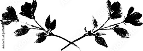 Black and white floral stencil illustration of spring branches for design
