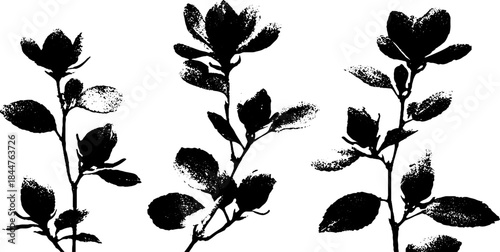 Black and white stencil illustration of spring flower corners for artistic designs