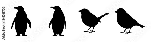 A collection of different bird silhouettes featuring penguins and small perching birds