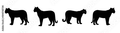 A collection of four black silhouettes depicting large cats like jaguars or panthers in a minimalist style