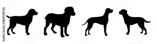 A lineup of four diverse dog silhouettes representing different breeds against a clean white background