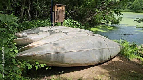 Recreational canoe boats lined up for rent beside duckweed covered lake