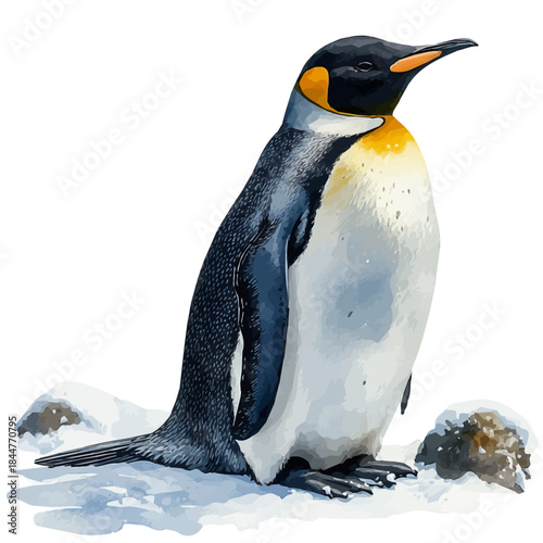 AdAlie Penguin, watercolor painting capturing graceful lines and soft blended shades, isolated on a white background.