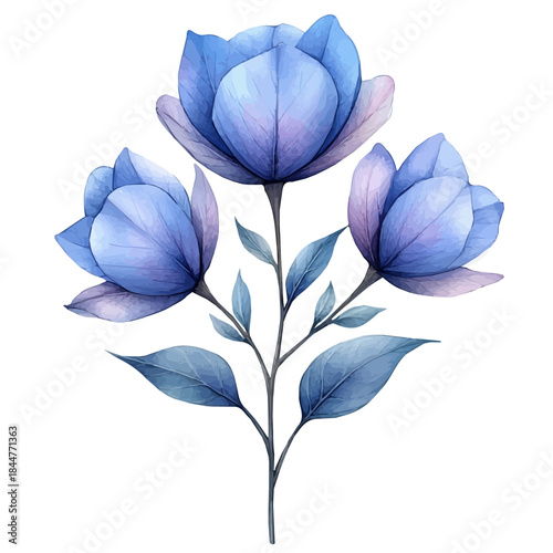 Aclair, watercolor vector portraying a joyful pose with colorful highlights, isolated on a white background.