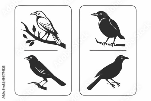 Placeholder image display