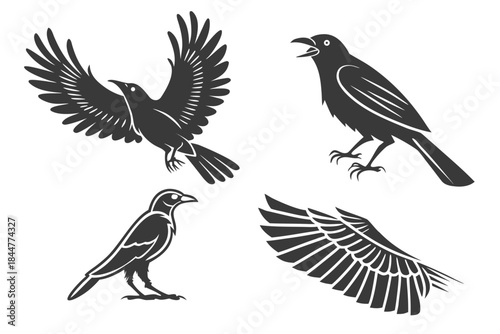 Placeholder image for vector file