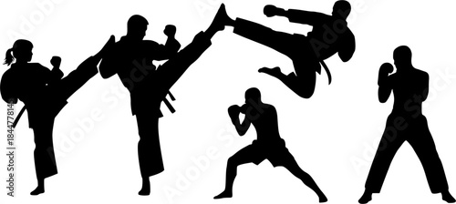 Karate Silhouettes, Martial Arts Silhouette, Karate Girl Silhouette, Karate, Kick boxing, Karate Clipart, Karate Icon