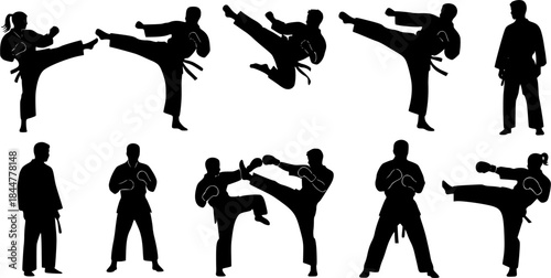 Karate Silhouettes, Martial Arts Silhouette, Karate Girl Silhouette, Karate, Kick boxing, Karate Clipart, Karate Icon