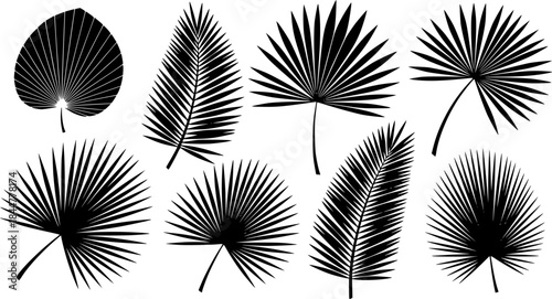 Palm leaves silhouettes, Tropical palm leaves vector, Leaf icon, Leaf silhouette, Palm leaf vector, Palm leaves, Leaves silhouette