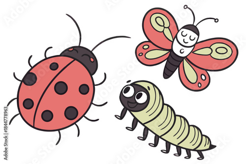 Placeholder image display