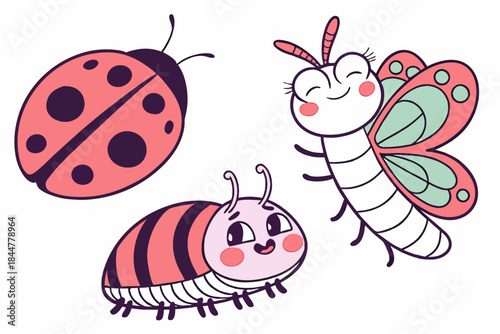 Placeholder image display