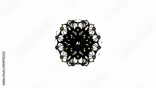 Intricate geometric mandala pattern with black and gold elements on white background