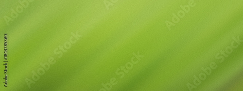 Green abstract diagonal blur background with noise effect for eco and design