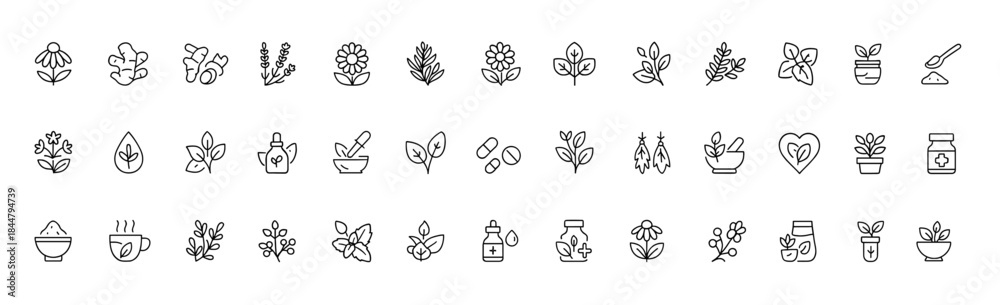 Fototapeta premium Medicinal herbs vector icon set, thin line pictograms of echinacea, ginger, turmeric, lavender, rosemary, calendula, lemon balm, dandelion, st johns wort, botanical healing illustration