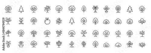 Tree icon collection featuring linear vector illustrations of roots, branches, leaves, and fruit in tropical, evergreen, and deciduous styles, nature design pack, forest ecology icons, organic
