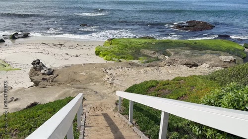 Descending wooden stairs toward the ocean with calm coastal background