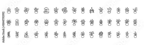 Indoor plant icon collection, minimal line vector pictograms of houseplants, cactus, succulent, monstera, philodendron, bonsai trees, aloe vera, orchid flowers, botanical decor symbols, foliage
