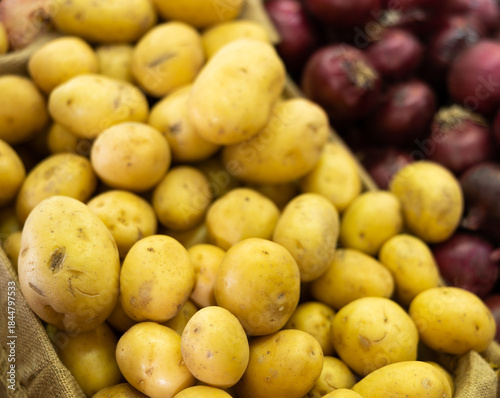 Bilde på lerret Lot of high quality organic Netherlandish or Turkish potatoes is laid out on shop window