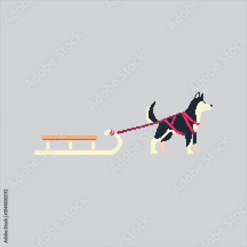 Pixel art illustration Snow Sled Dog. Pixelated Sled Dog Animal. Snow Sled Dog Animal Icon pixelated for the pixel art game and icon for website and video game. old school retro.