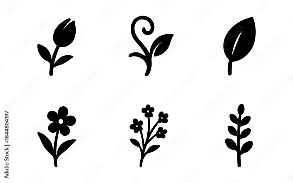 Fototapeta premium Black and white floral icons set on a white background for design elements